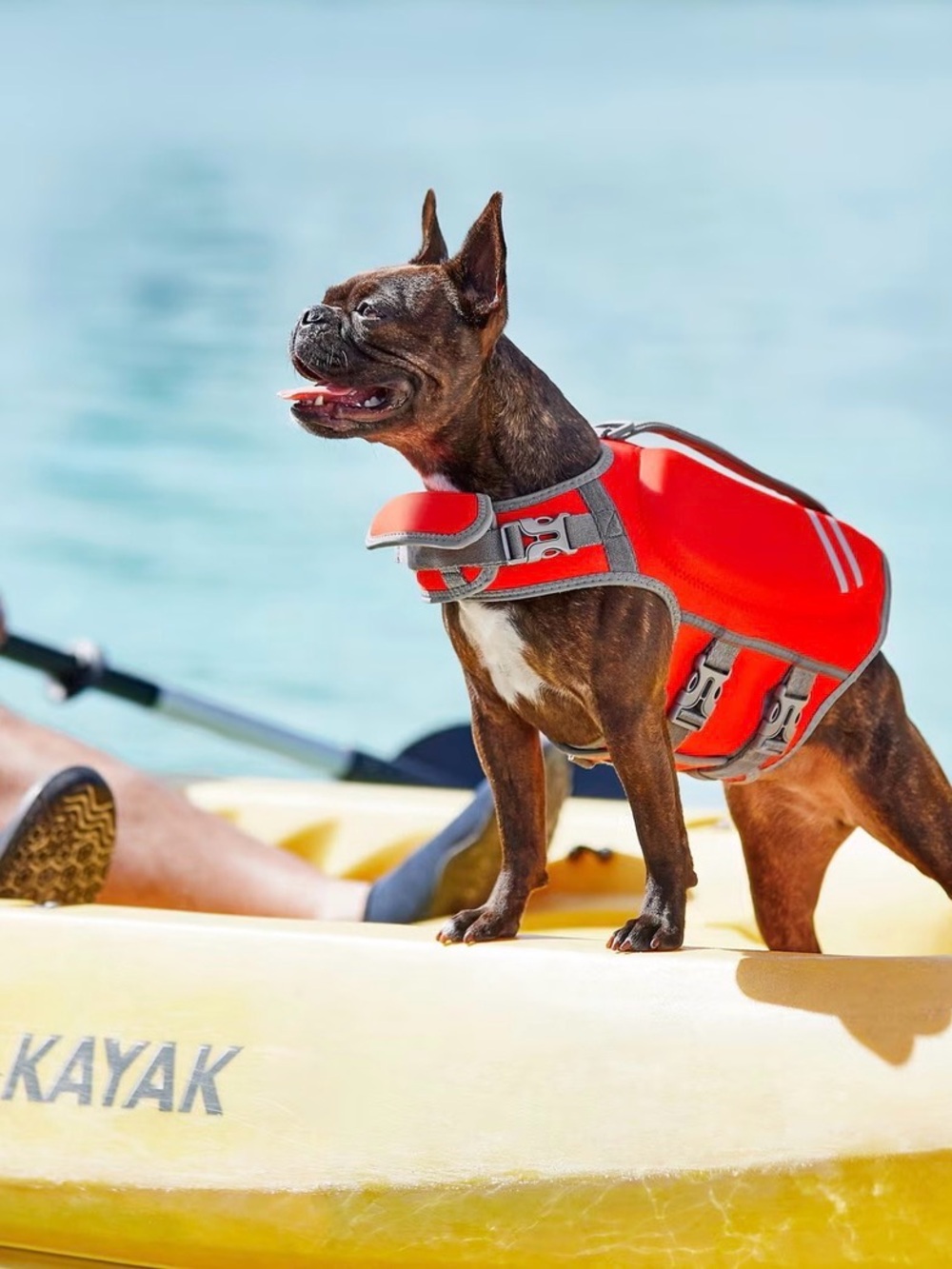 NWT Frisco Dog’s Adjustable Red Life Vest with Top Handle, size small